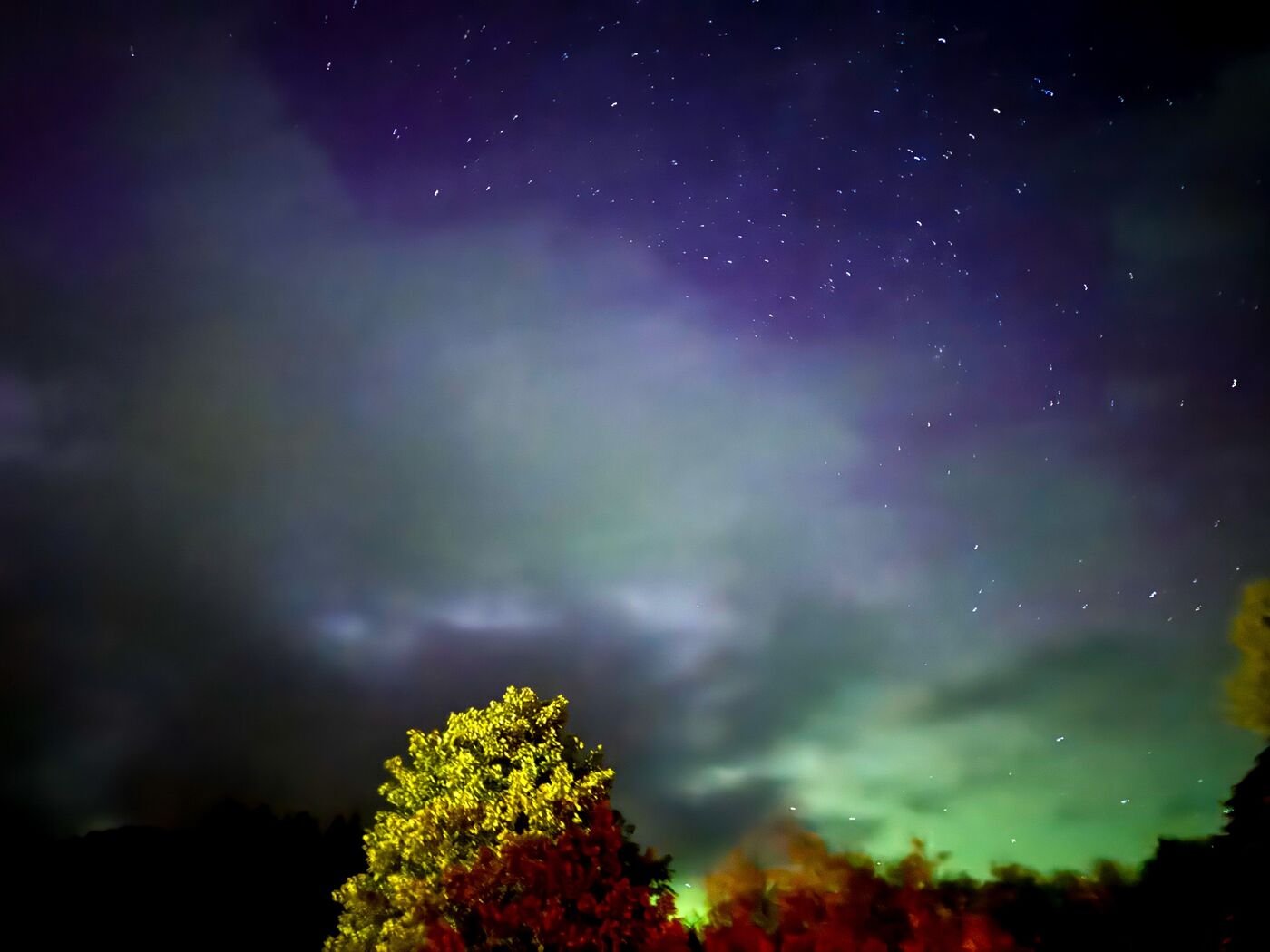 Northern lights over trees in Scotland, travel photography by Eccentric Routes
