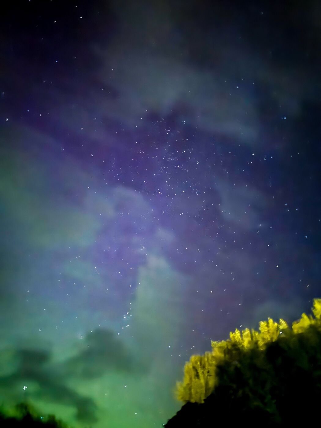 Milky Way stars and green aurora above a tree line in Scotland